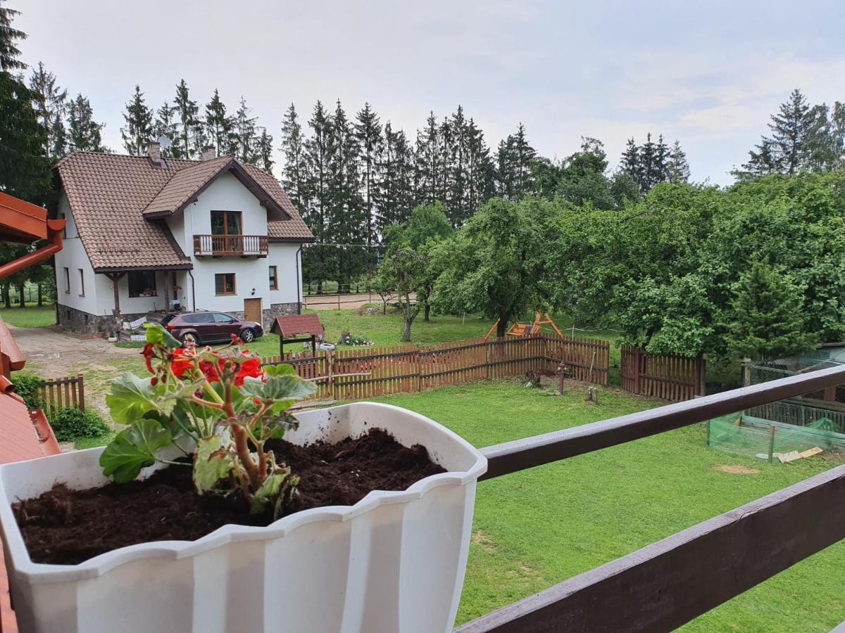 Kurnik Polski Agroturystyka Tykocin Buitenkant foto