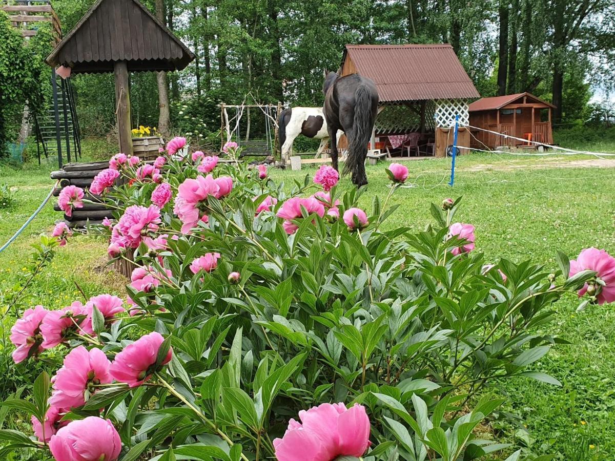 Kurnik Polski Agroturystyka Tykocin Buitenkant foto