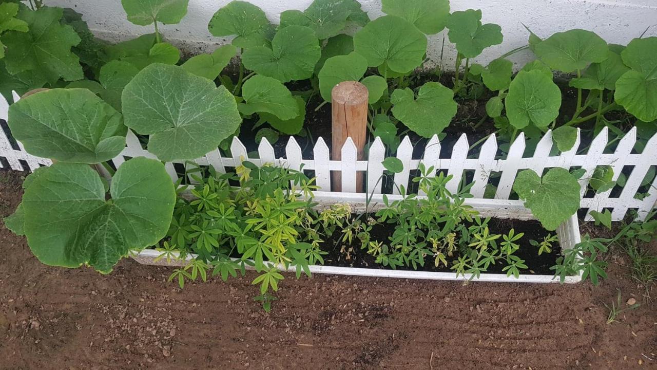Kurnik Polski Agroturystyka Tykocin Buitenkant foto
