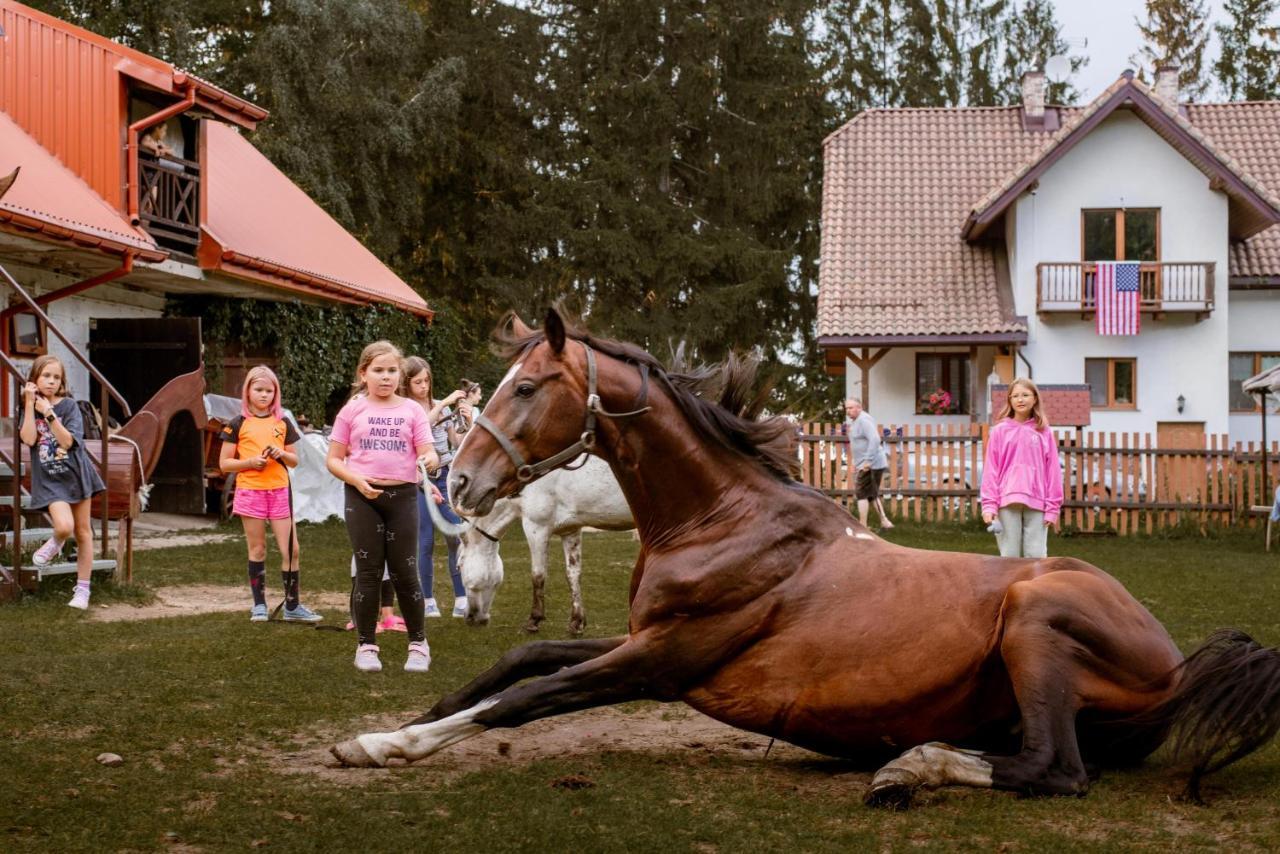 Kurnik Polski Agroturystyka Tykocin Buitenkant foto