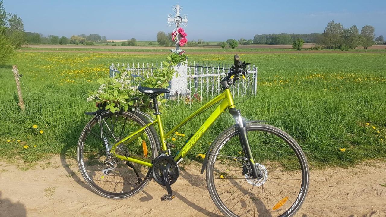 Kurnik Polski Agroturystyka Tykocin Buitenkant foto