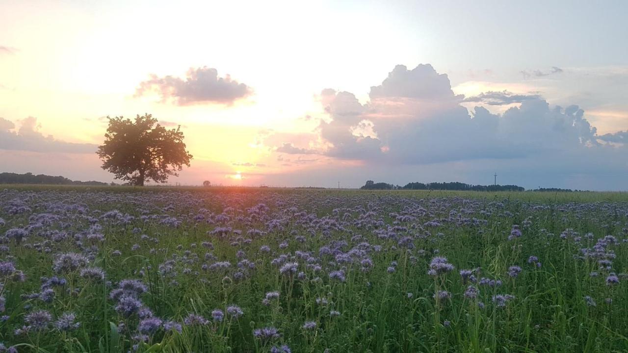 Kurnik Polski Agroturystyka Tykocin Buitenkant foto