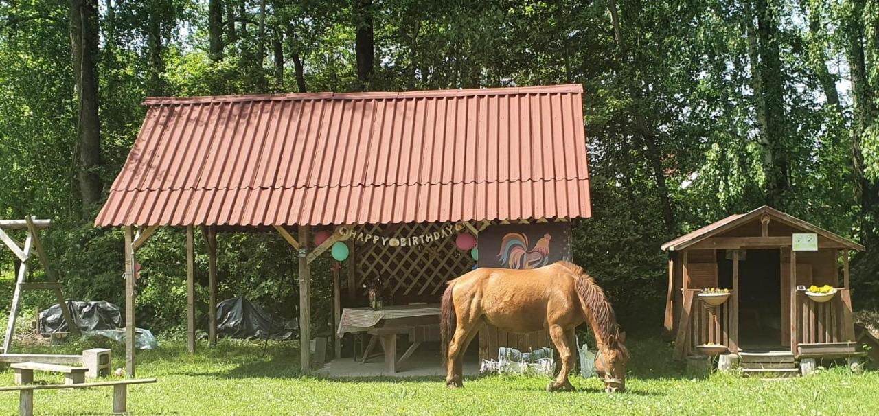 Kurnik Polski Agroturystyka Tykocin Buitenkant foto