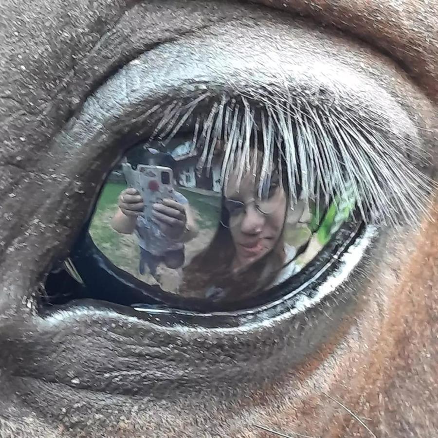 Kurnik Polski Agroturystyka Tykocin Buitenkant foto